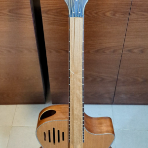 Sqoe SQ-I Acoustic Guitar