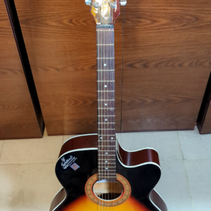 Signature Topaz-265 (Biswas) – 41 Inch Acoustic Guitar (Royal Color)