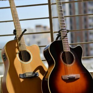 Acoustic Guitar