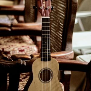 Ukulele